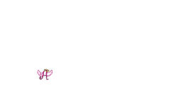 Debbies Dance Studios